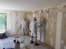 Asbestos and Lead Testing During Mold Inspection in Twentynine Palms, CA